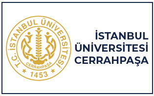 Üniversite Logosu